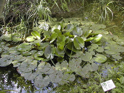 orto botanico riserva lago di penne