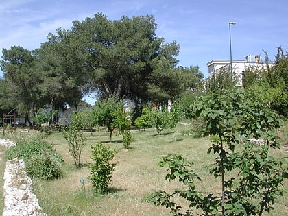 Jardín botánico de la Universidad de Lecce