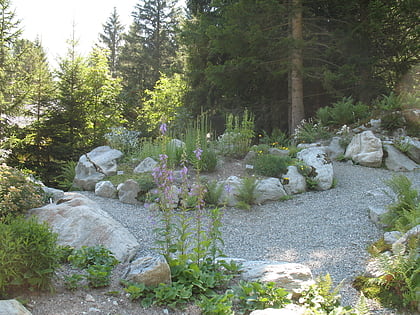Jardín botánico alpino del Castillo Saboya