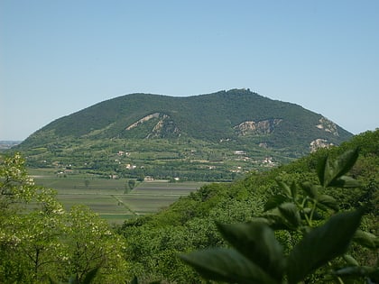 Monte Ricco