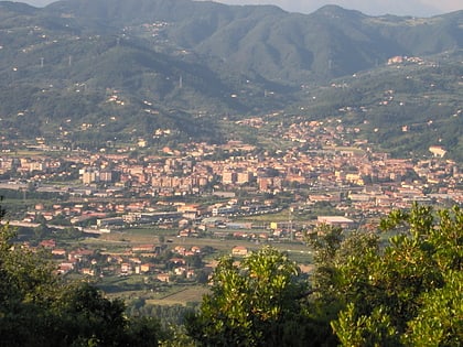 sarzana