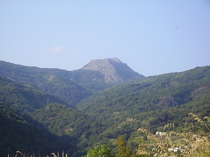 monte cocuzzo