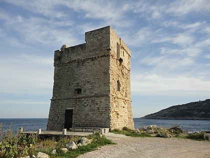 torre palane
