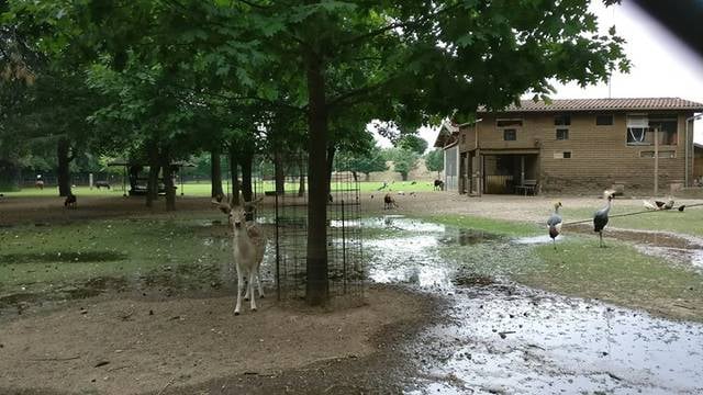 parco gandhi bareggio