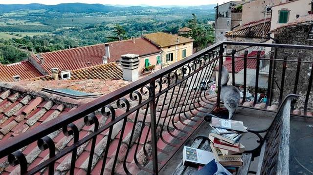 biblioteca comunale a morvidi manciano