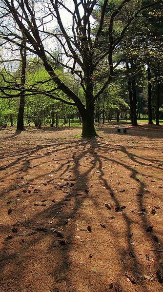 Parco Alto Milanese