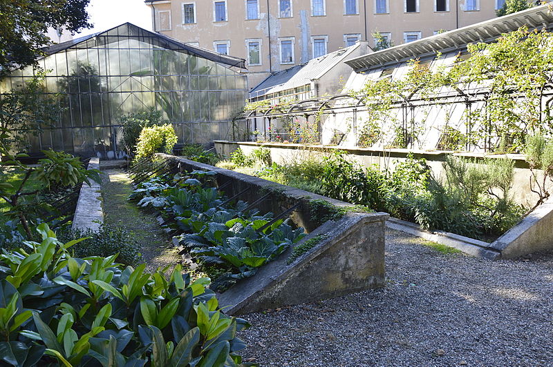 Orto Botanico dell'Università di Pavia