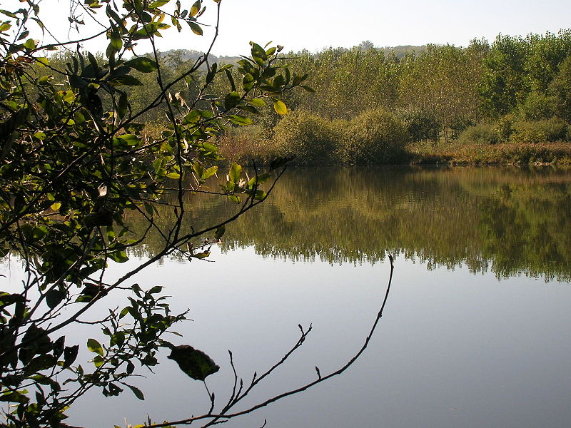 Lago di Candia