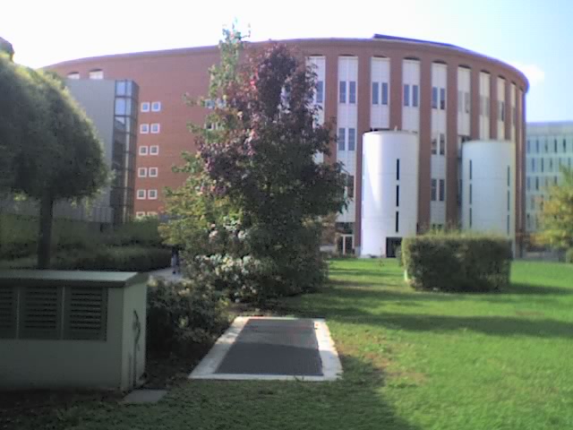 Uniwersytet Bocconi