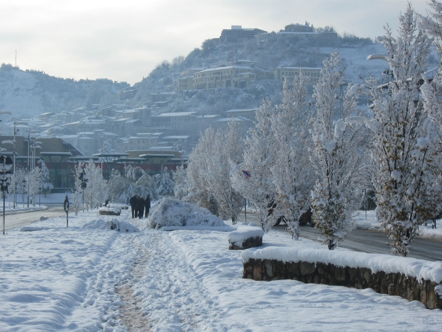 Cosenza