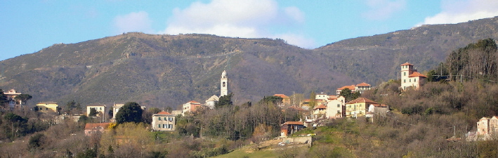 Murta