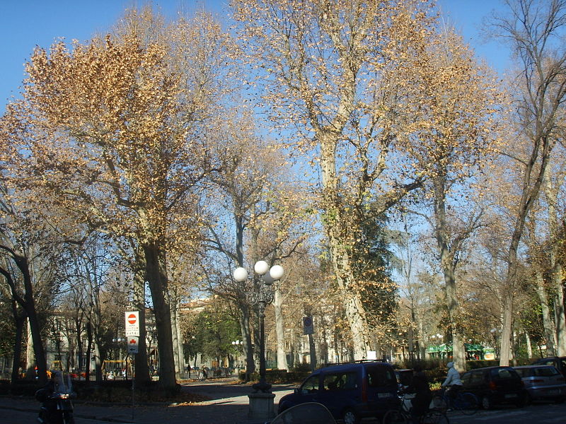 Piazza D'Azeglio