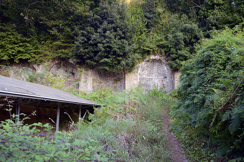 Tempio di Diana, Nemi