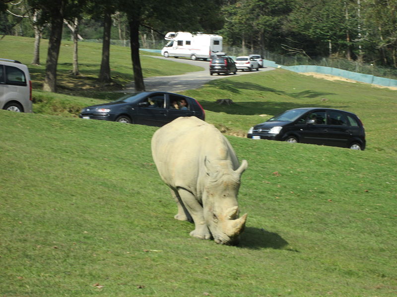 Safaripark Pombia