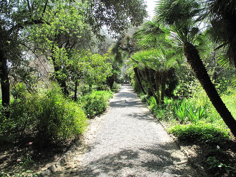 Jardín botánico Hanbury