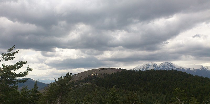Monte Salviano