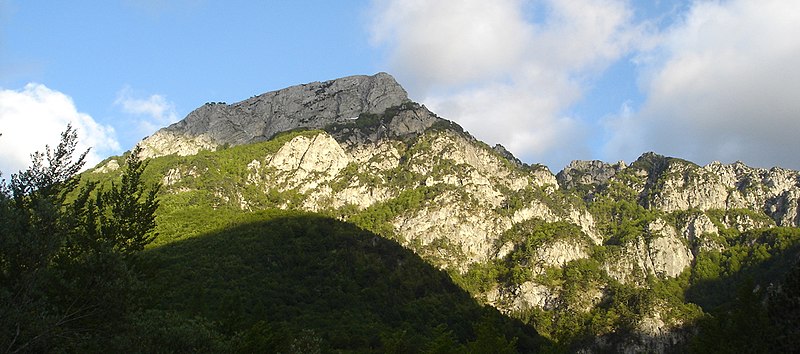 Parc national des Abruzzes, Latium et Molise
