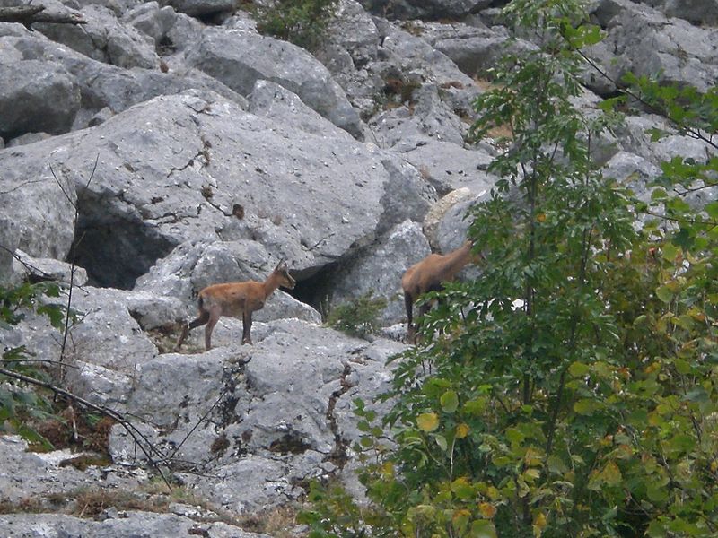 Gran Sasso e Monti della Laga National Park