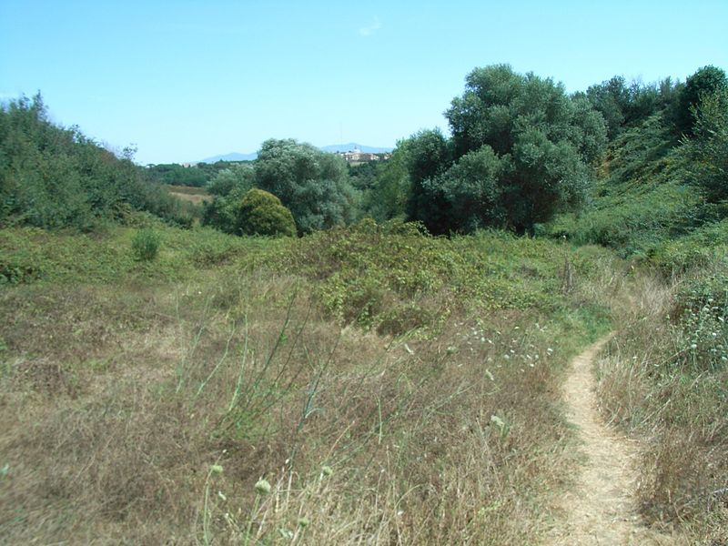 Parc régional urbain du Pineto