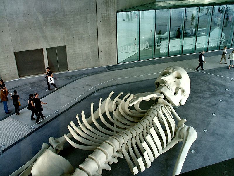 MAXXI – Museo nazionale delle arti del XXI secolo