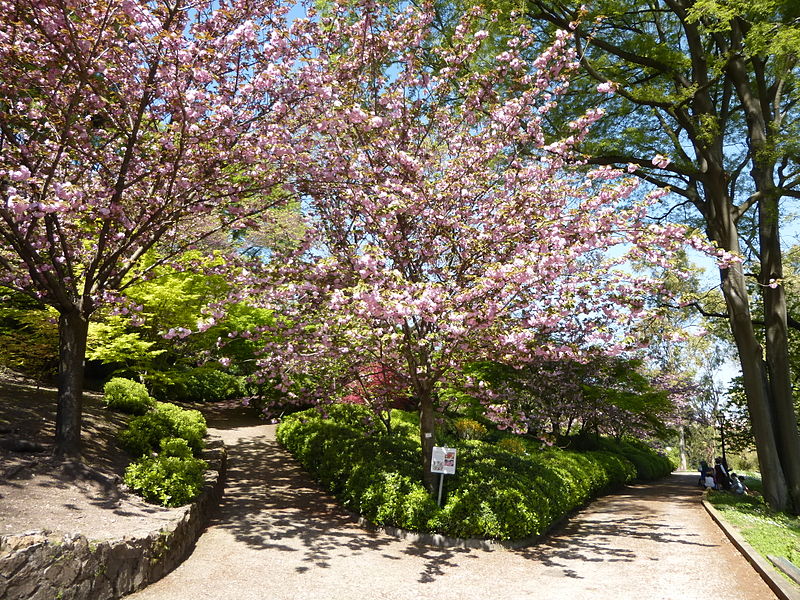 Jardín botánico de Roma