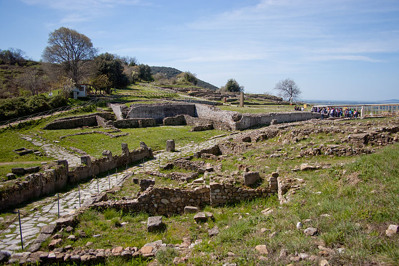 Site archéologique de Roselle