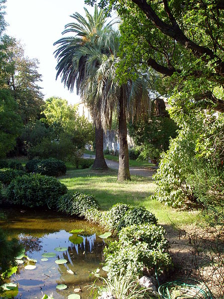 Jardín botánico de Pisa
