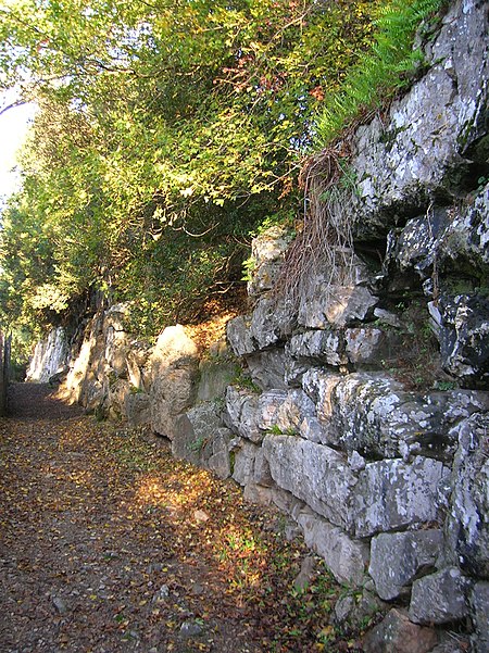 Area Archeologica di Roselle