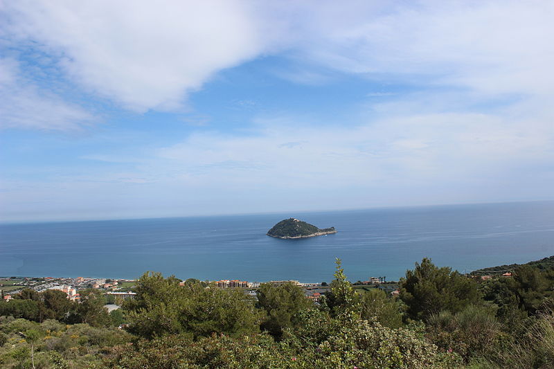 Île Gallinara