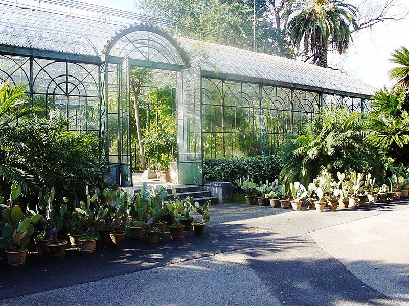 Jardin botanique de Palerme