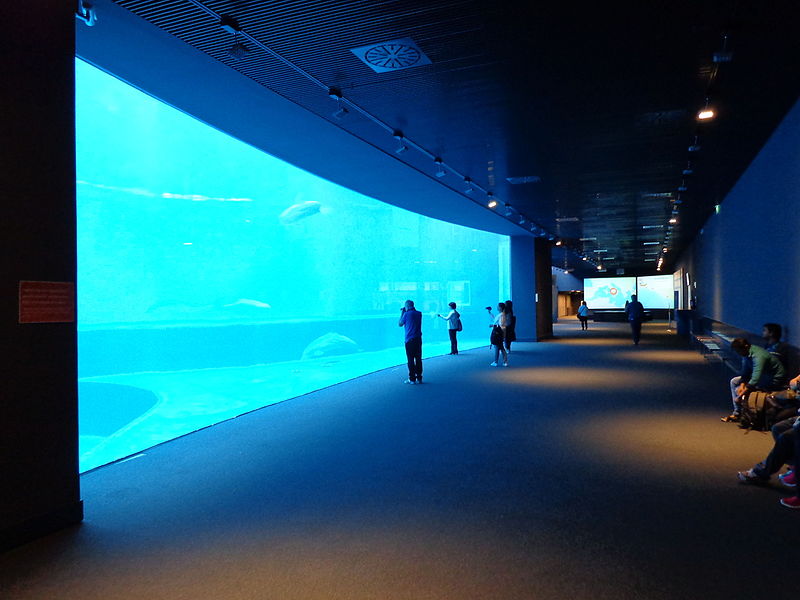 Aquarium de Gênes