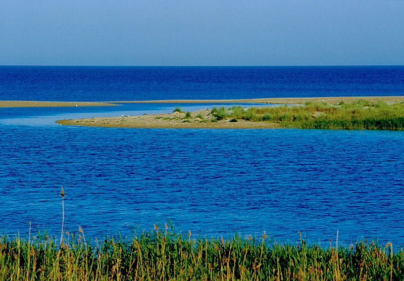 Riserva Naturale Orientata Foce del fiume Platani