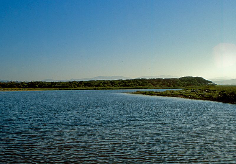 Riserva Naturale Orientata Foce del fiume Platani