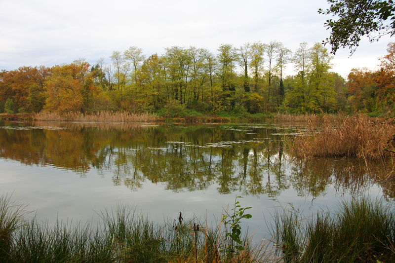 Lagoni di Mercurago Natural Park