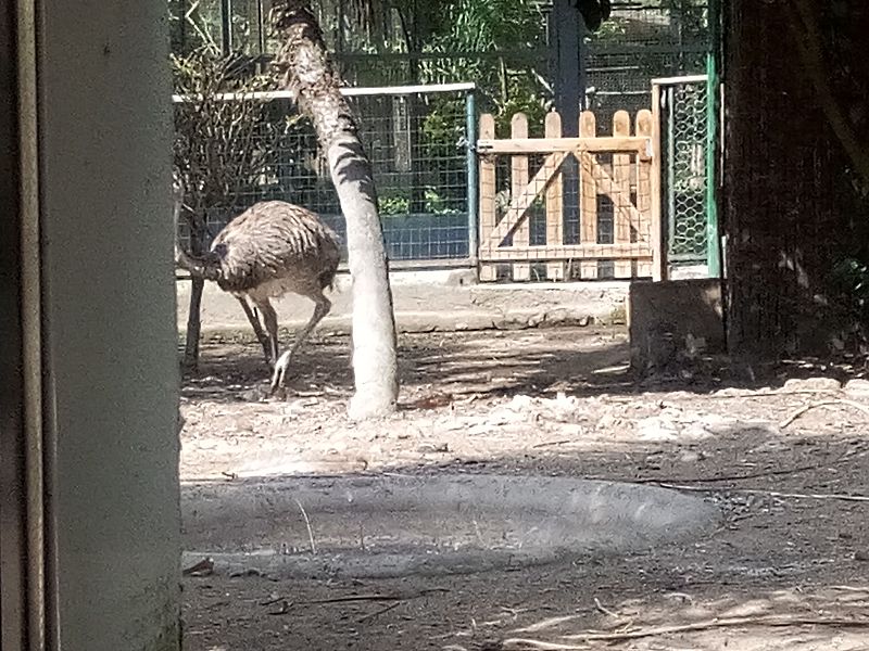 Zoo di Napoli