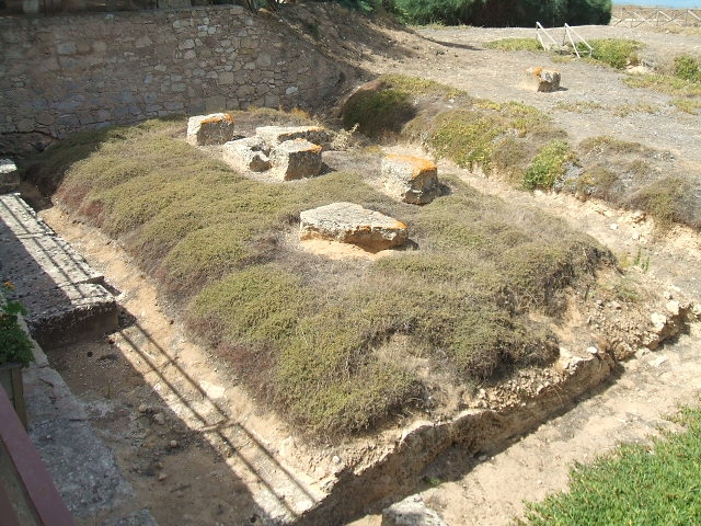 Camarina