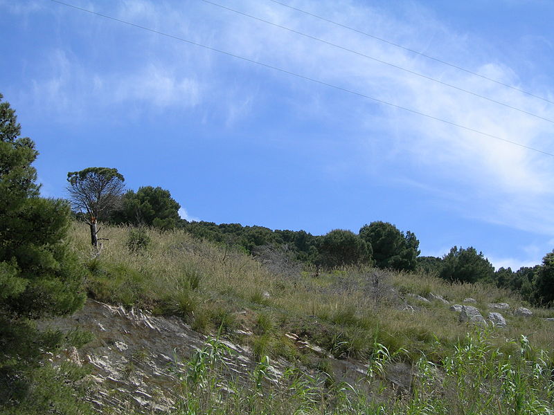 Nature Reserve Bosco di Alcamo