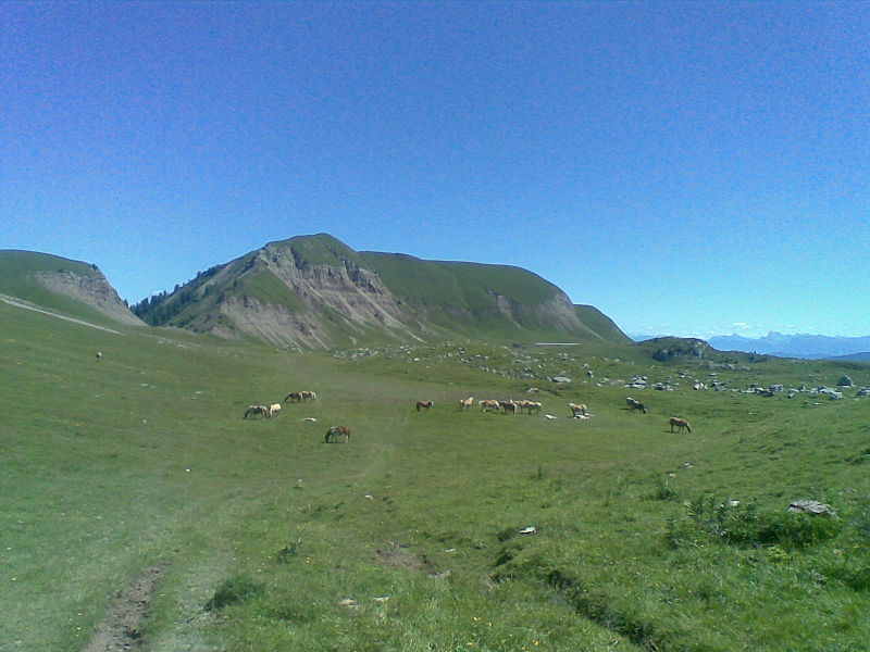 Rifugio Peller