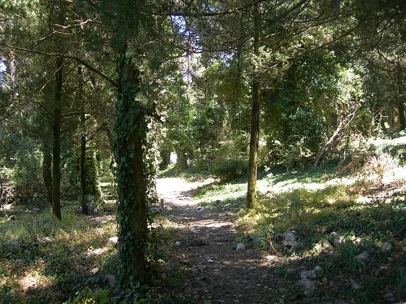 Rezerwat Przyrody Bosco di Alcamo