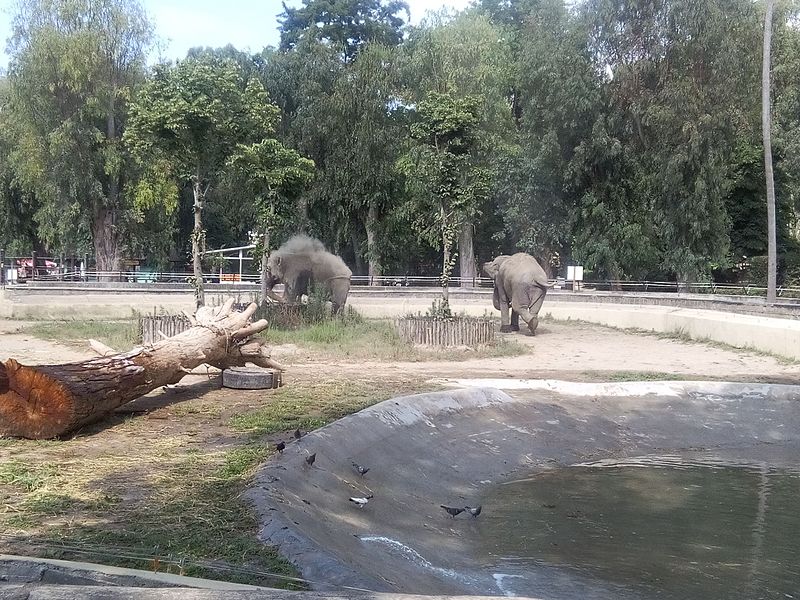 Zoo de Naples