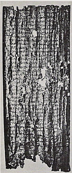 Willa Papirusów