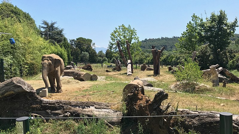 Giardino Zoologico di Pistoia