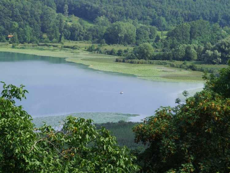 Lago di Alserio