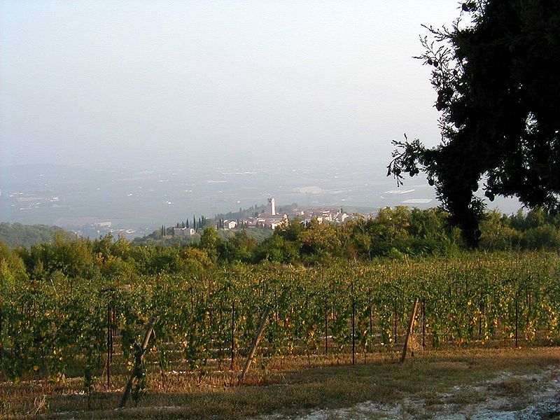 Valpolicella