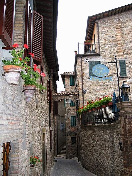 Montone