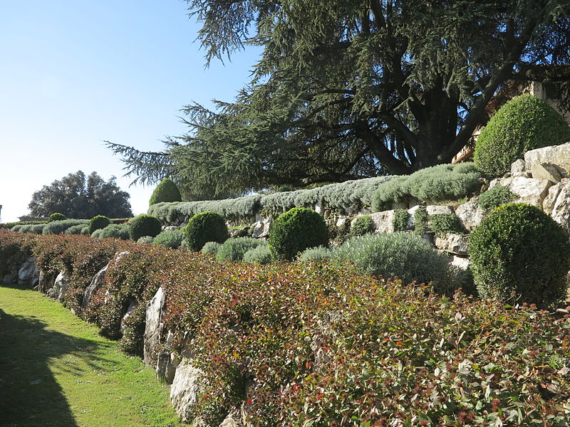 Castello di Montozzi