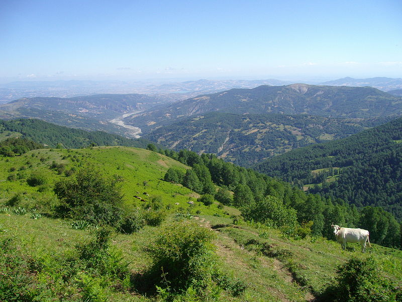 Monte Sparviere