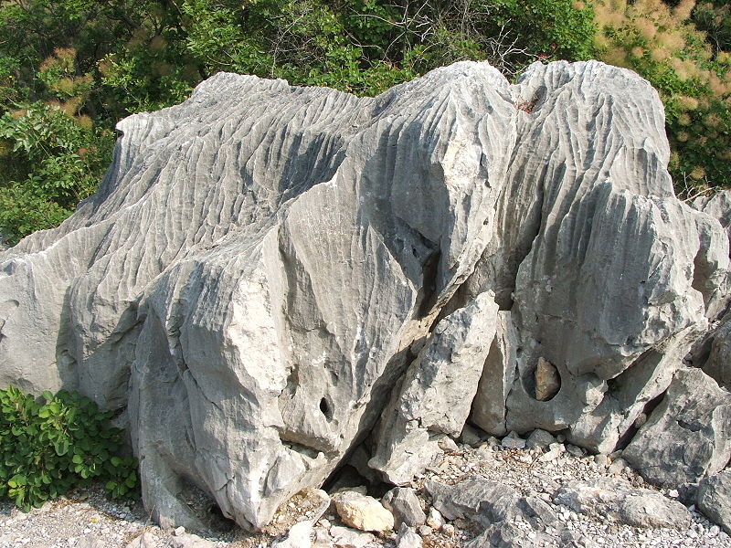 Riserva naturale Falesie di Duino / Naravni rezervat Devinske stene