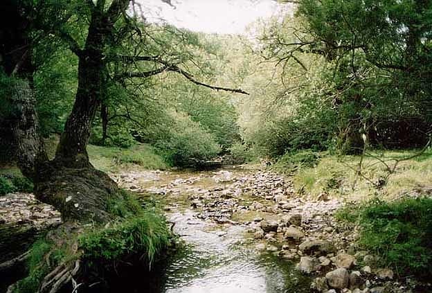 Park Narodowy Abruzji, Lacjum i Molise, Włochy