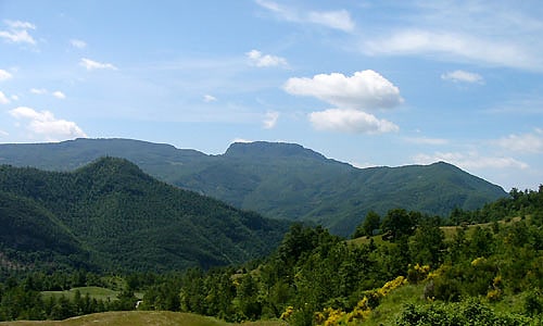 Parc national des forêts du Casentino, Monte Falterona, Campigna, Italie